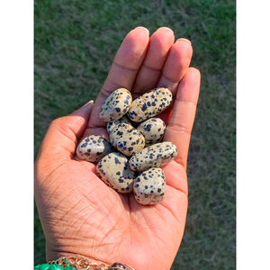 Dalmatian Jasper (Tumbled)