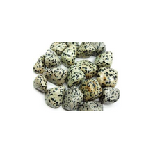 Load image into Gallery viewer, Dalmatian Jasper (Tumbled)