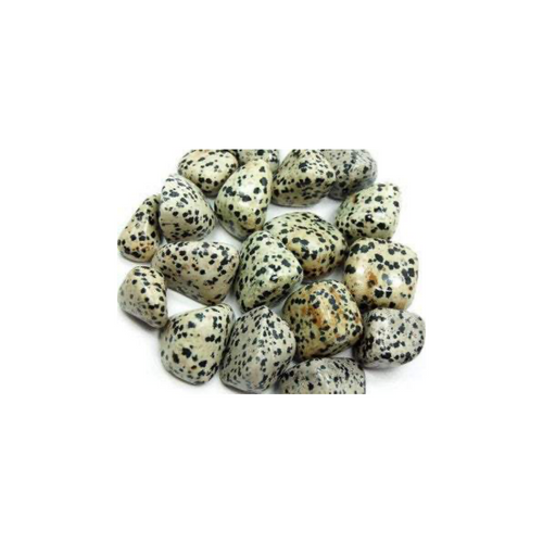 Dalmatian Jasper (Tumbled)