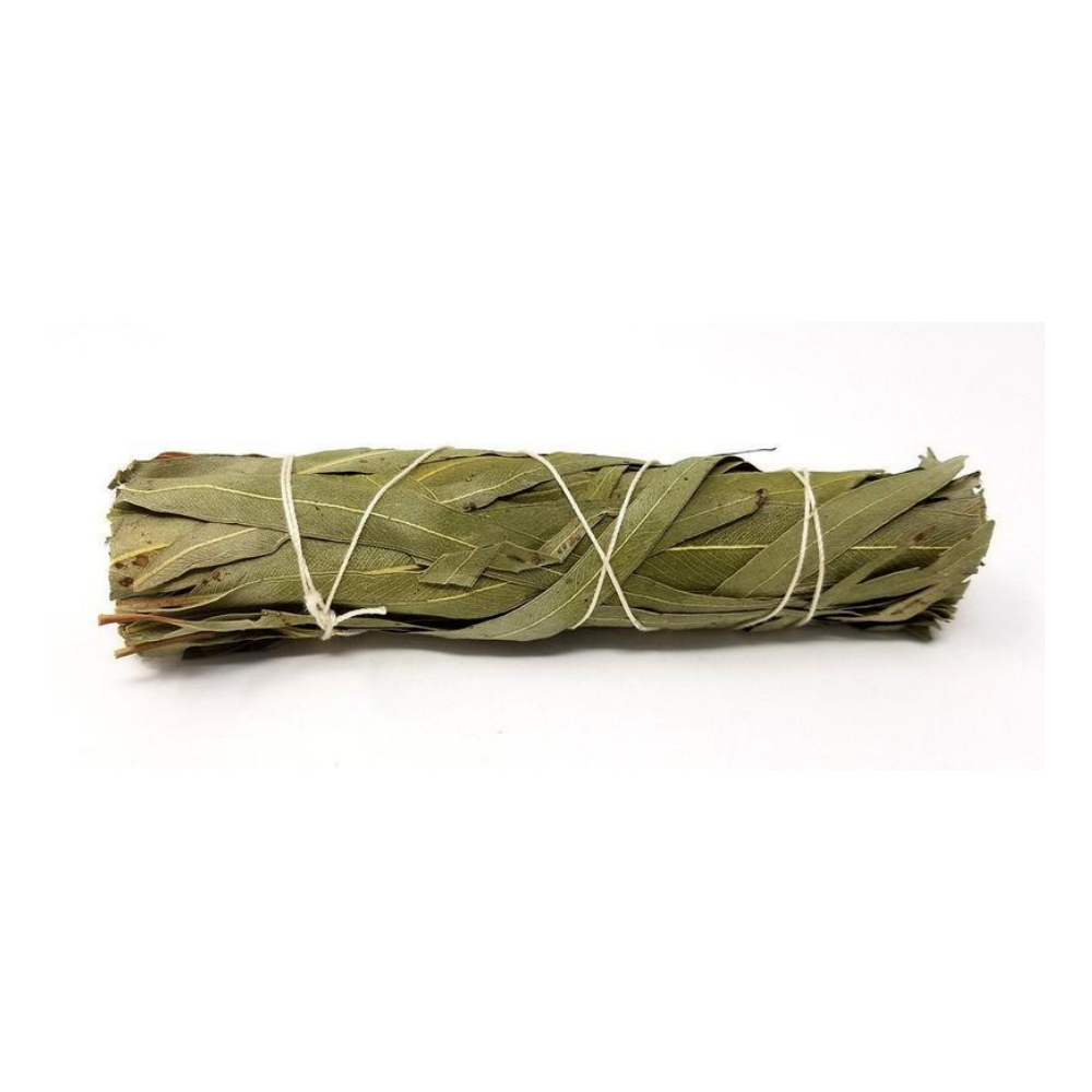 Eucalyptus Smudge Stick