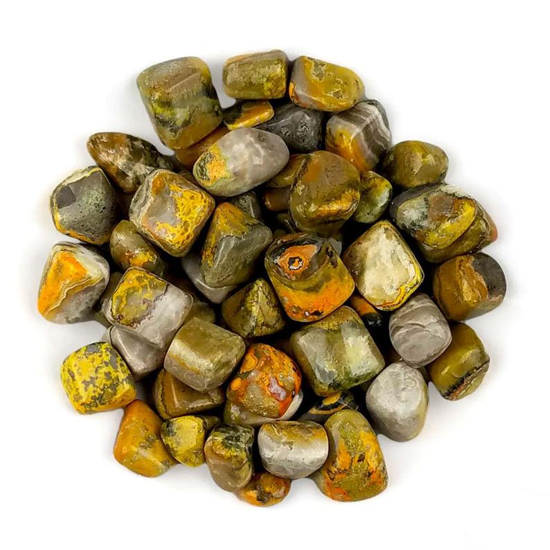 Bumble Bee Jasper