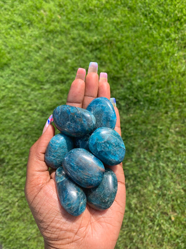 Blue Apatite (tumbled)